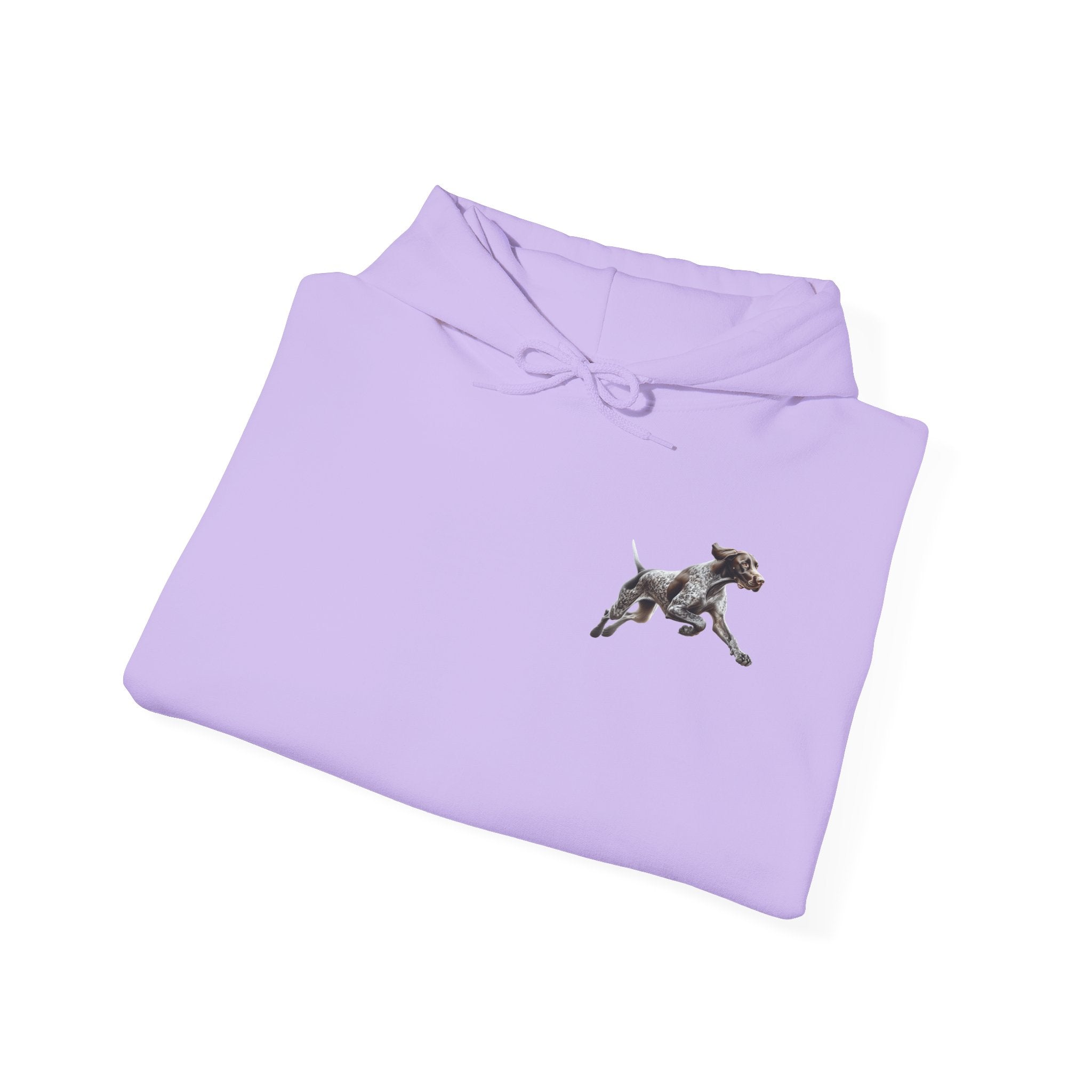 And There It Goes My Last Flying Fuck Hoodie