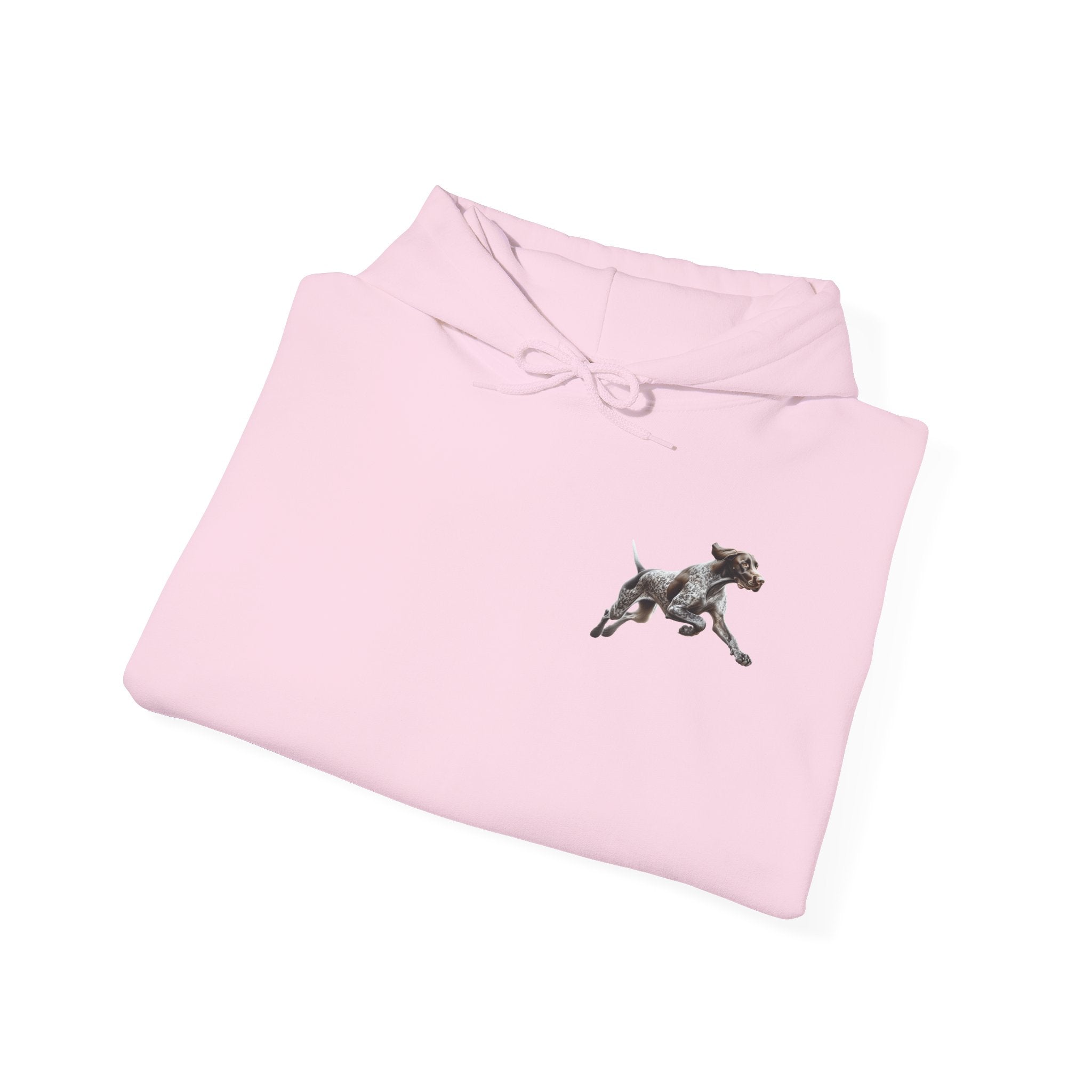 And There It Goes My Last Flying Fuck Hoodie