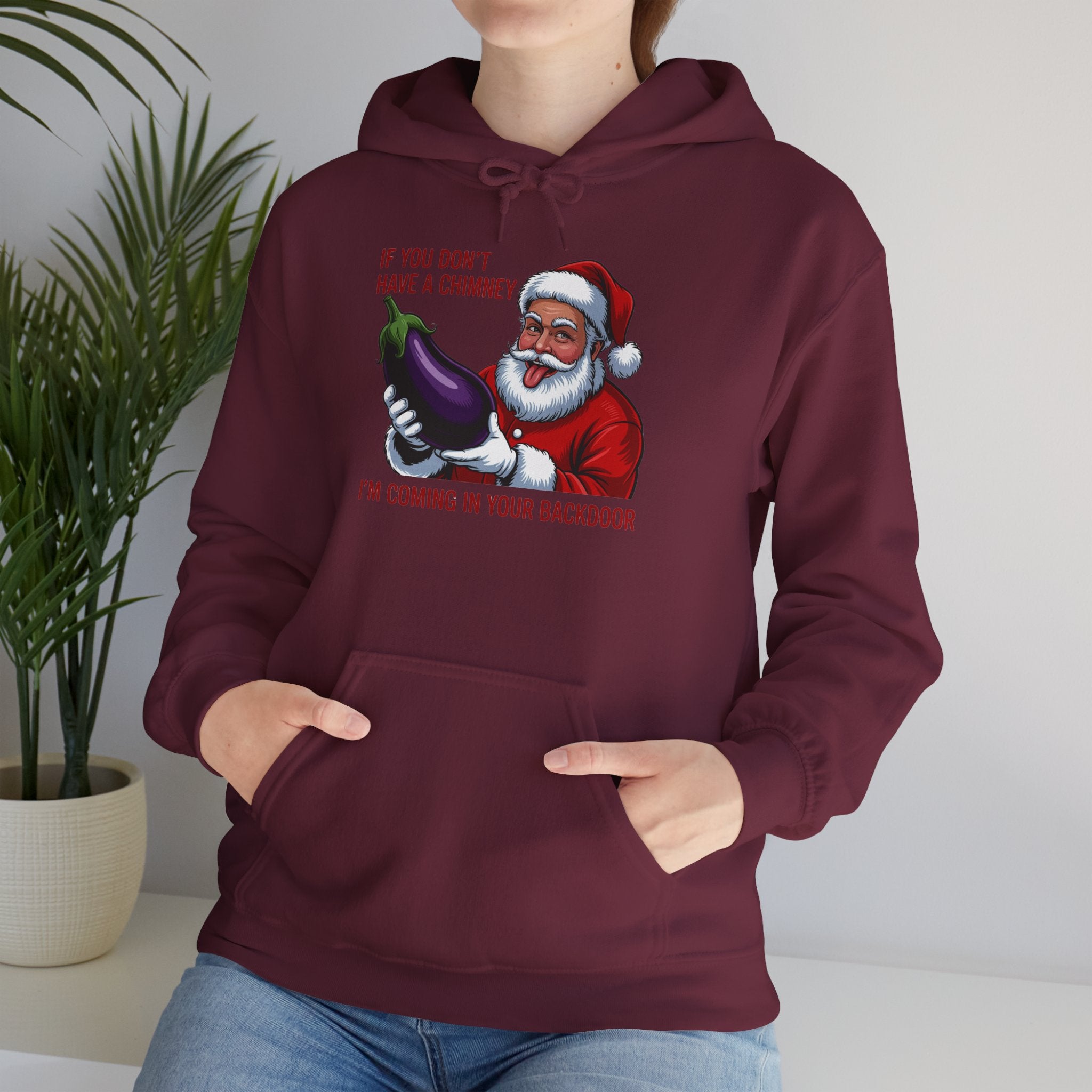 If You Don’t Have a Chimney I’m Coming in Your Backdoor Hoodie