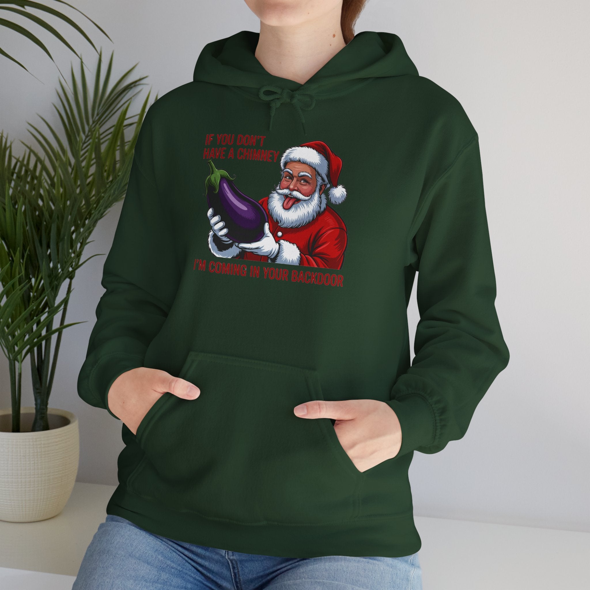 If You Don’t Have a Chimney I’m Coming in Your Backdoor Hoodie