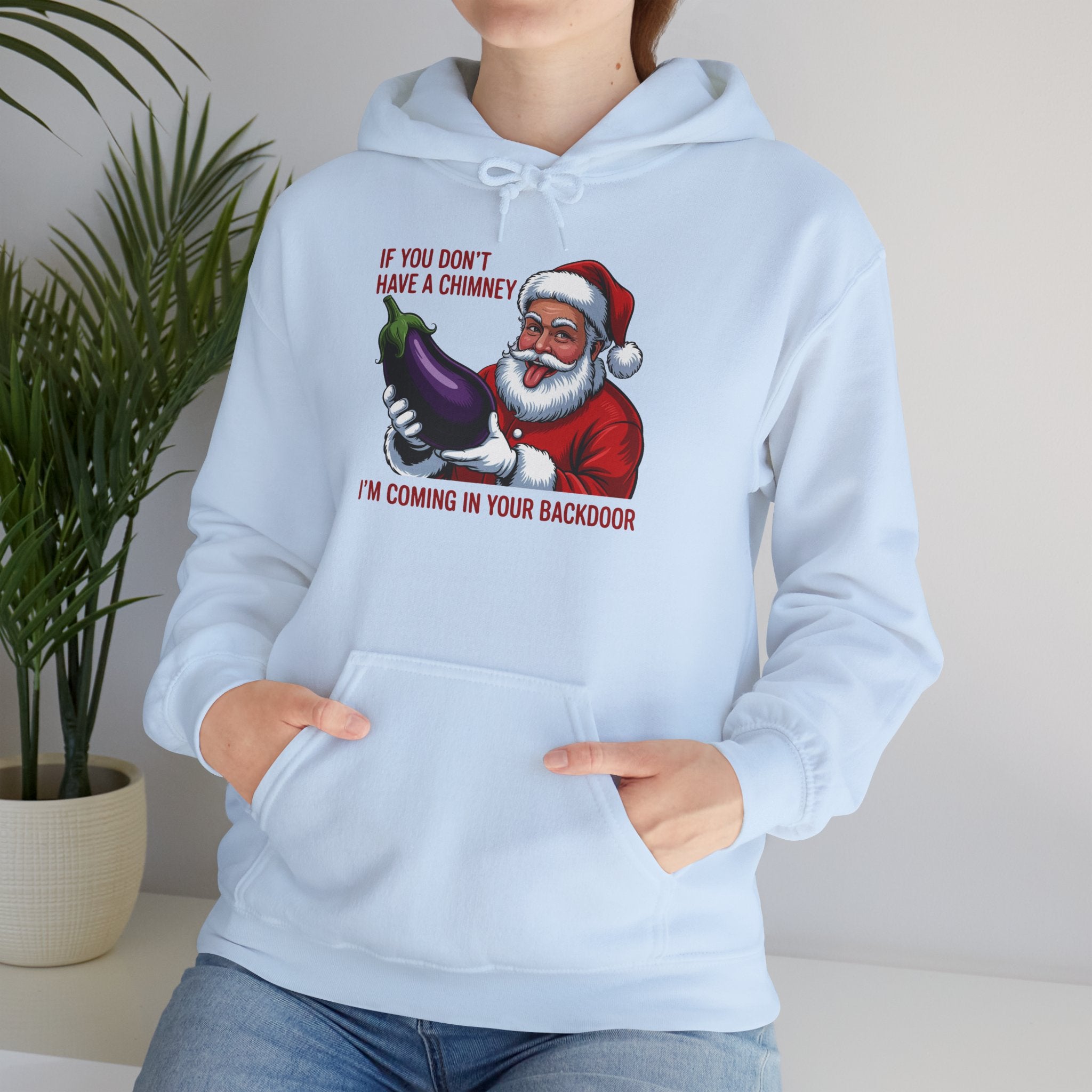If You Don’t Have a Chimney I’m Coming in Your Backdoor Hoodie
