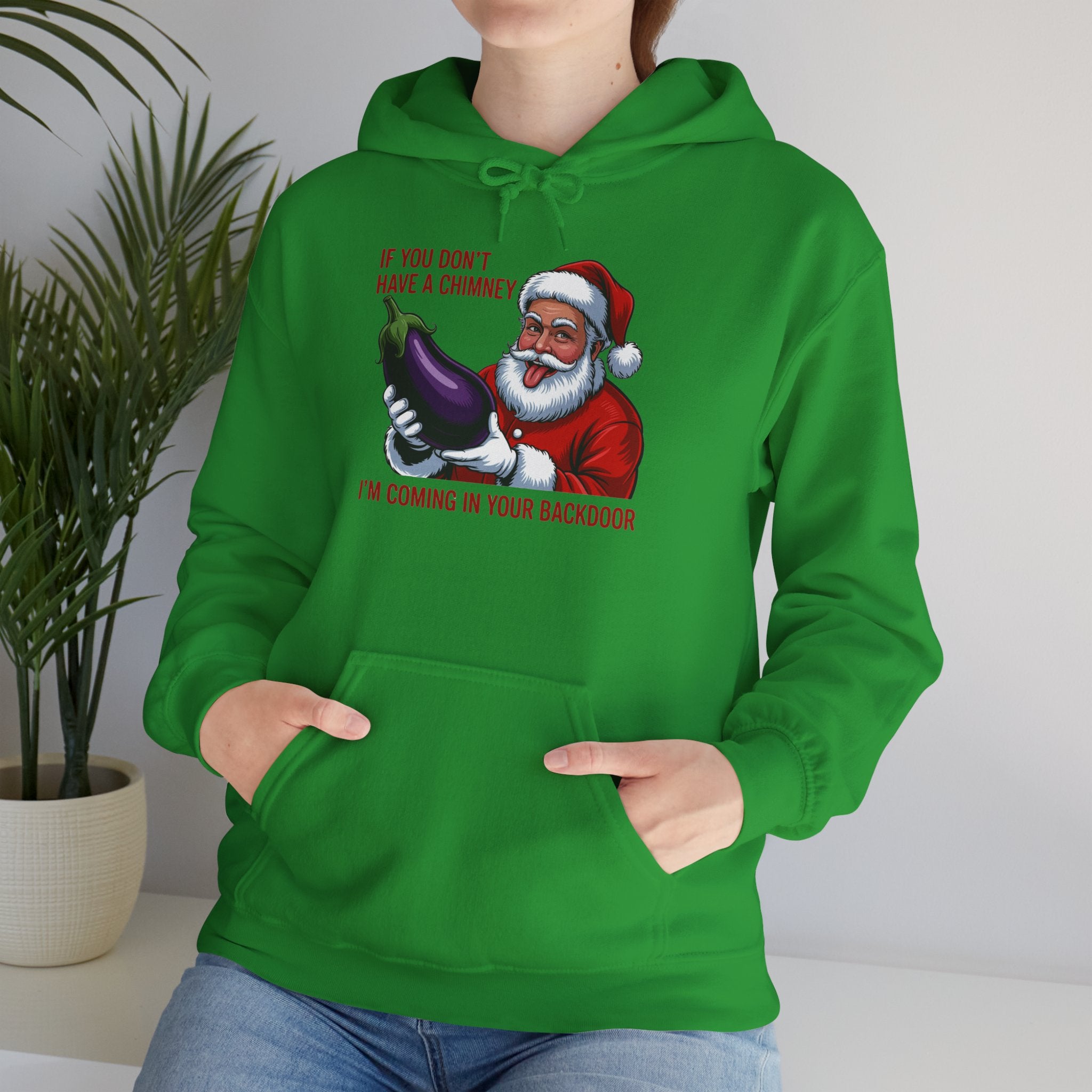 If You Don’t Have a Chimney I’m Coming in Your Backdoor Hoodie