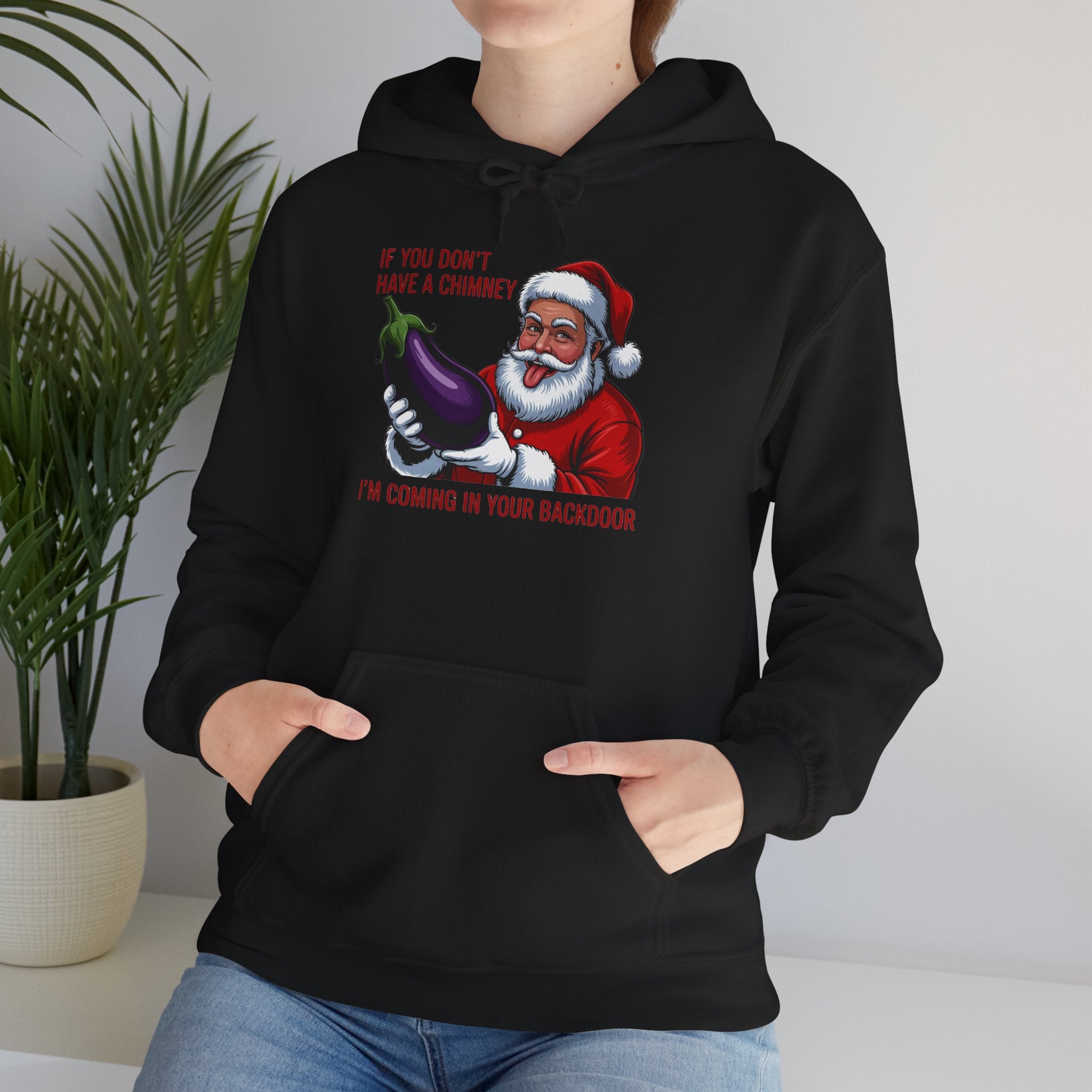 If You Don’t Have a Chimney I’m Coming in Your Backdoor Hoodie