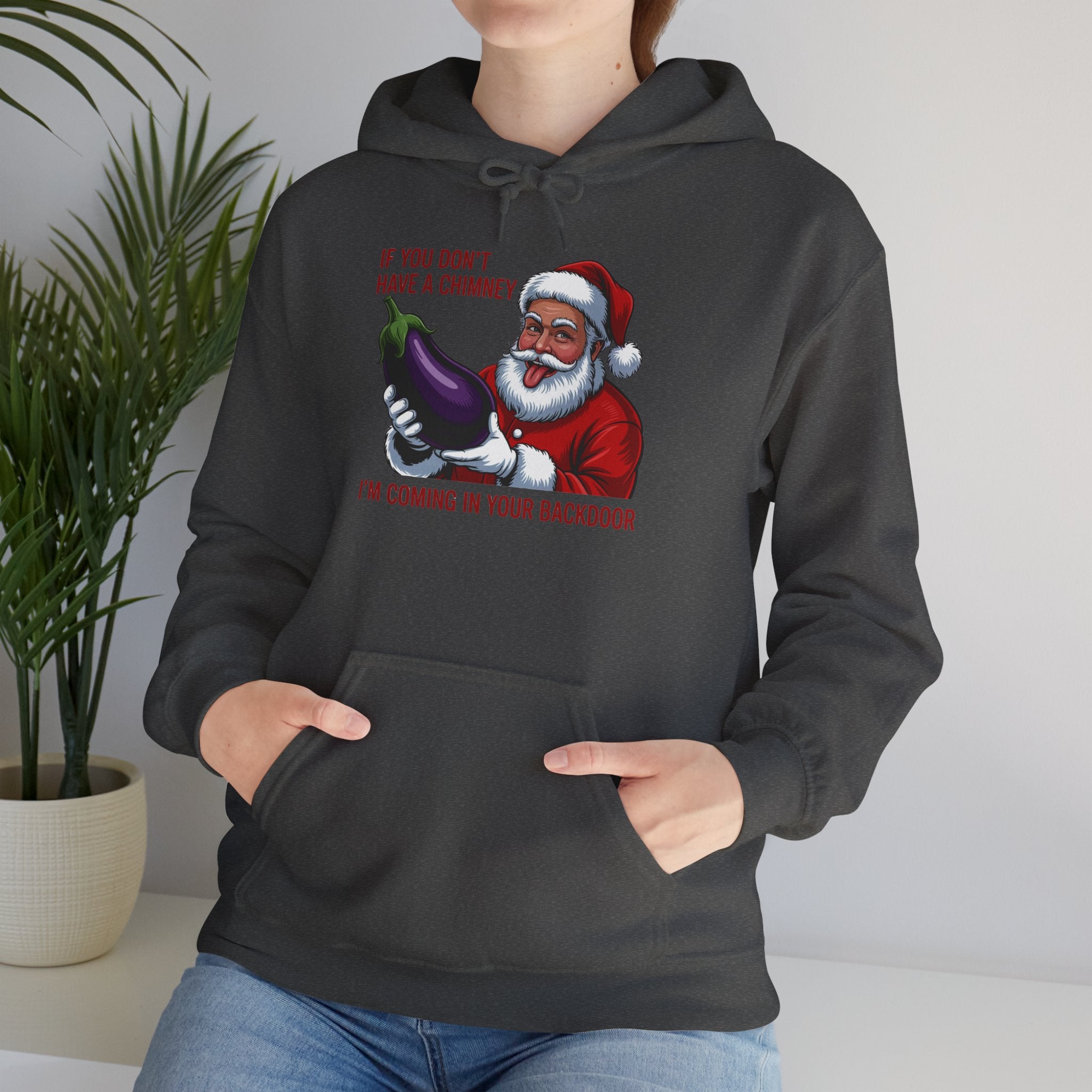 If You Don’t Have a Chimney I’m Coming in Your Backdoor Hoodie
