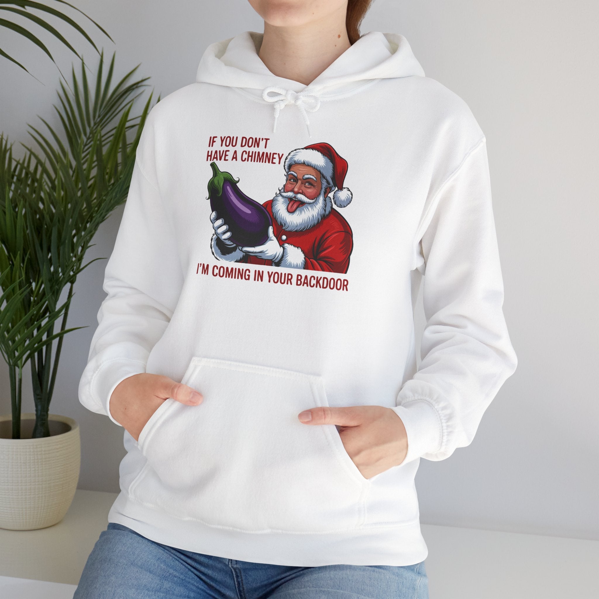 If You Don’t Have a Chimney I’m Coming in Your Backdoor Hoodie