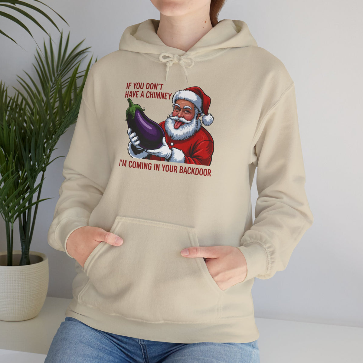 If You Don’t Have a Chimney I’m Coming in Your Backdoor Hoodie