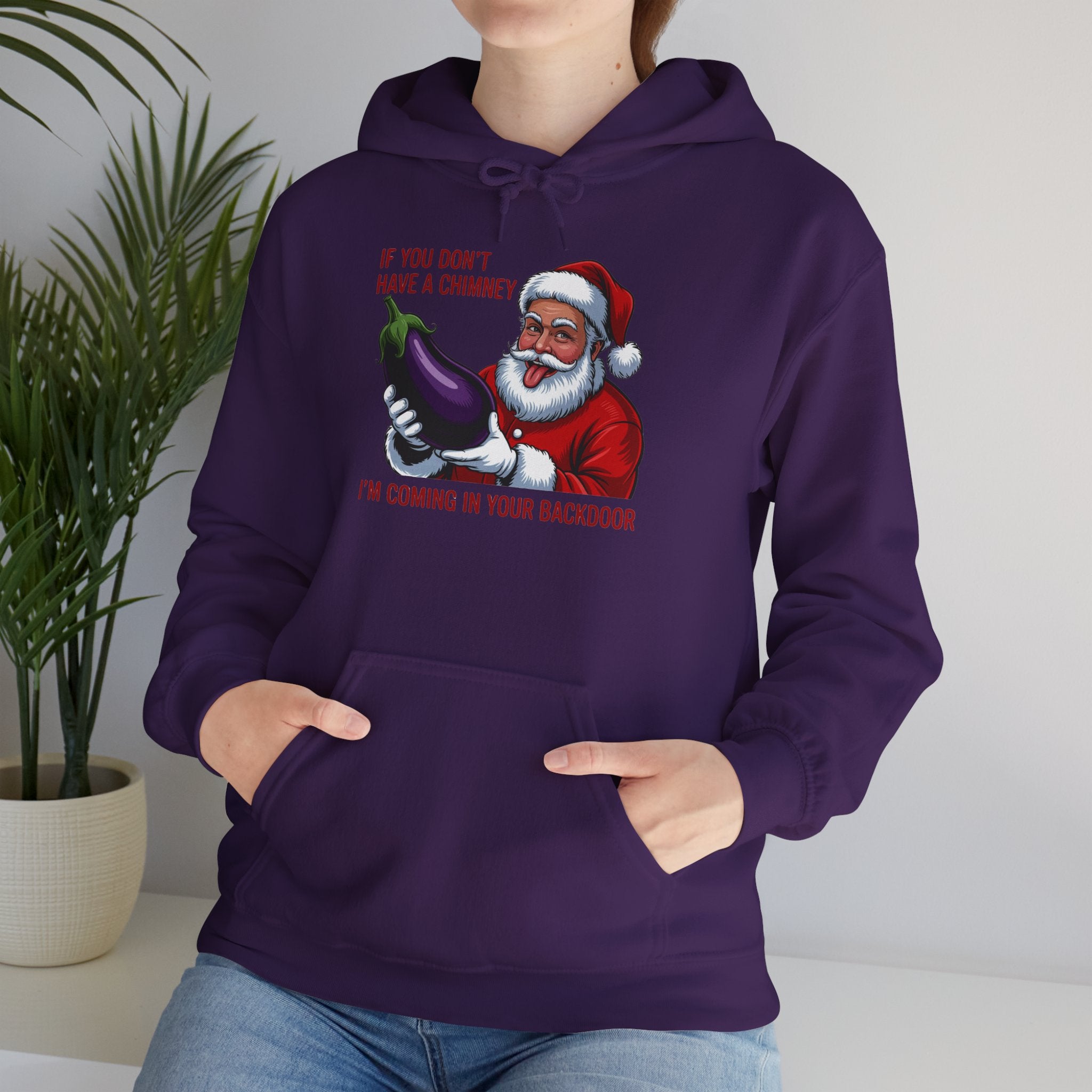 If You Don’t Have a Chimney I’m Coming in Your Backdoor Hoodie