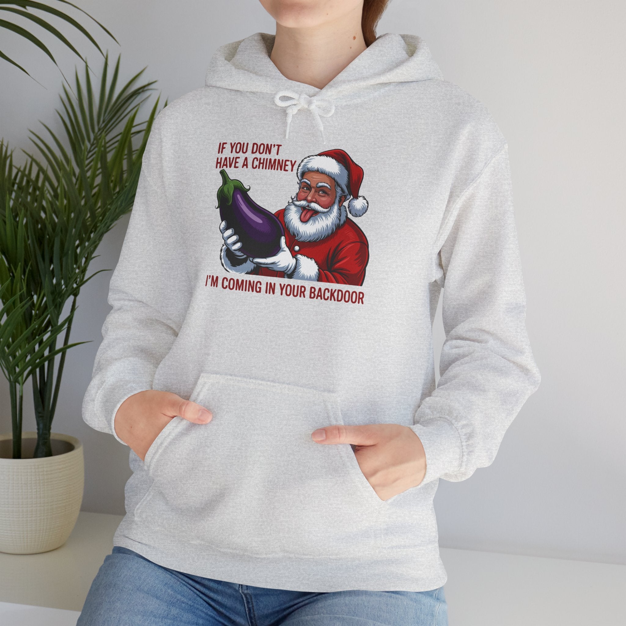 If You Don’t Have a Chimney I’m Coming in Your Backdoor Hoodie