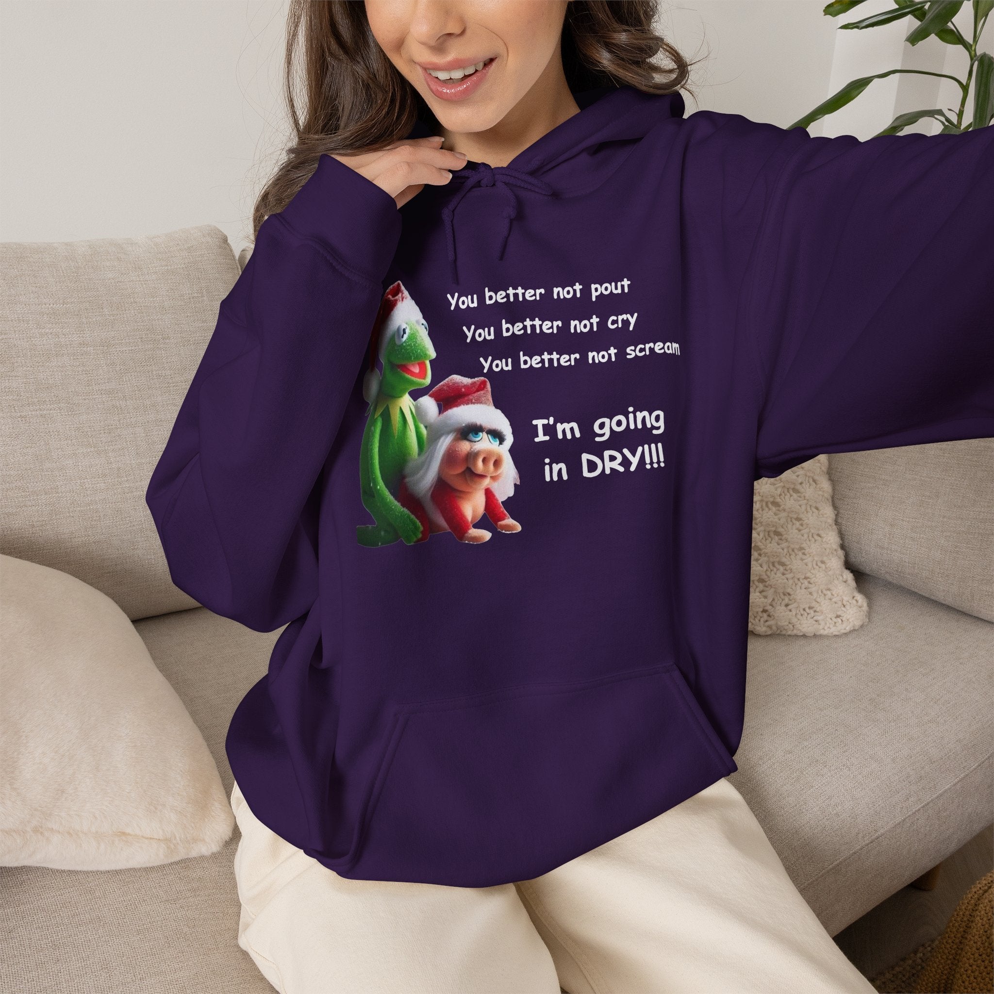 You Better Not Pout, You Better Not Cry Hoodie – I’m Going In Dry Christmas Hoodie
