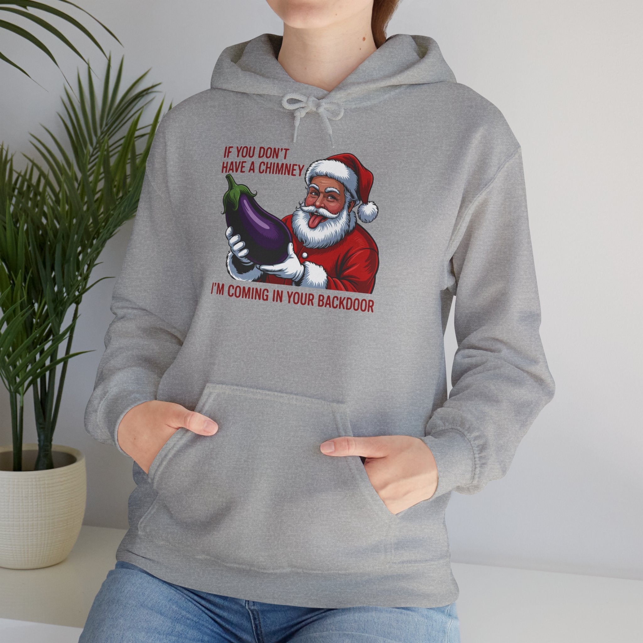 If You Don’t Have a Chimney I’m Coming in Your Backdoor Hoodie