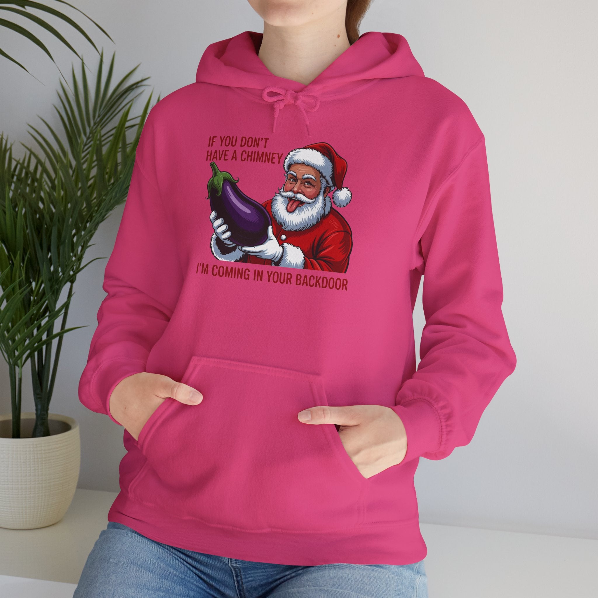If You Don’t Have a Chimney I’m Coming in Your Backdoor Hoodie
