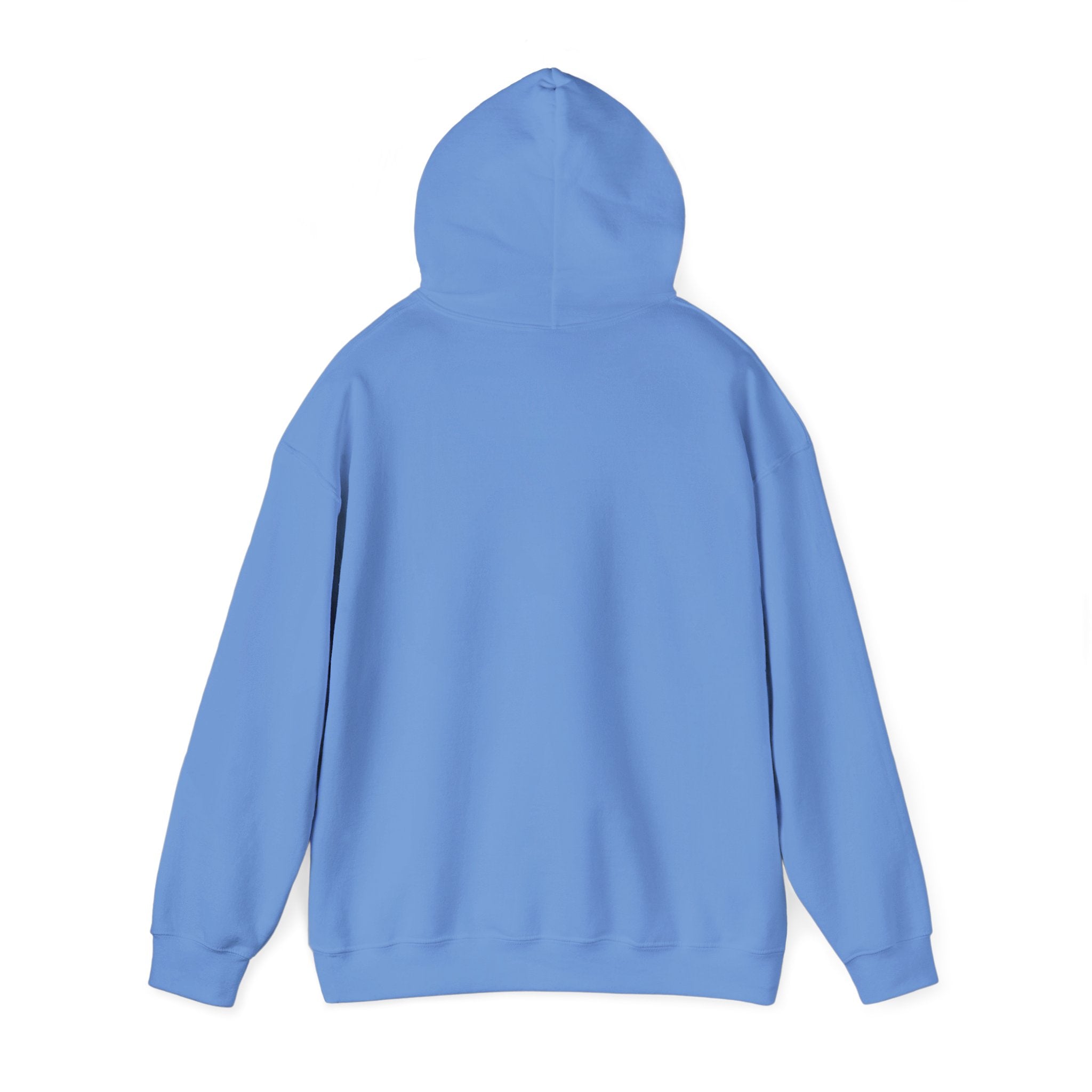 Without Being An Asshole Hoodie