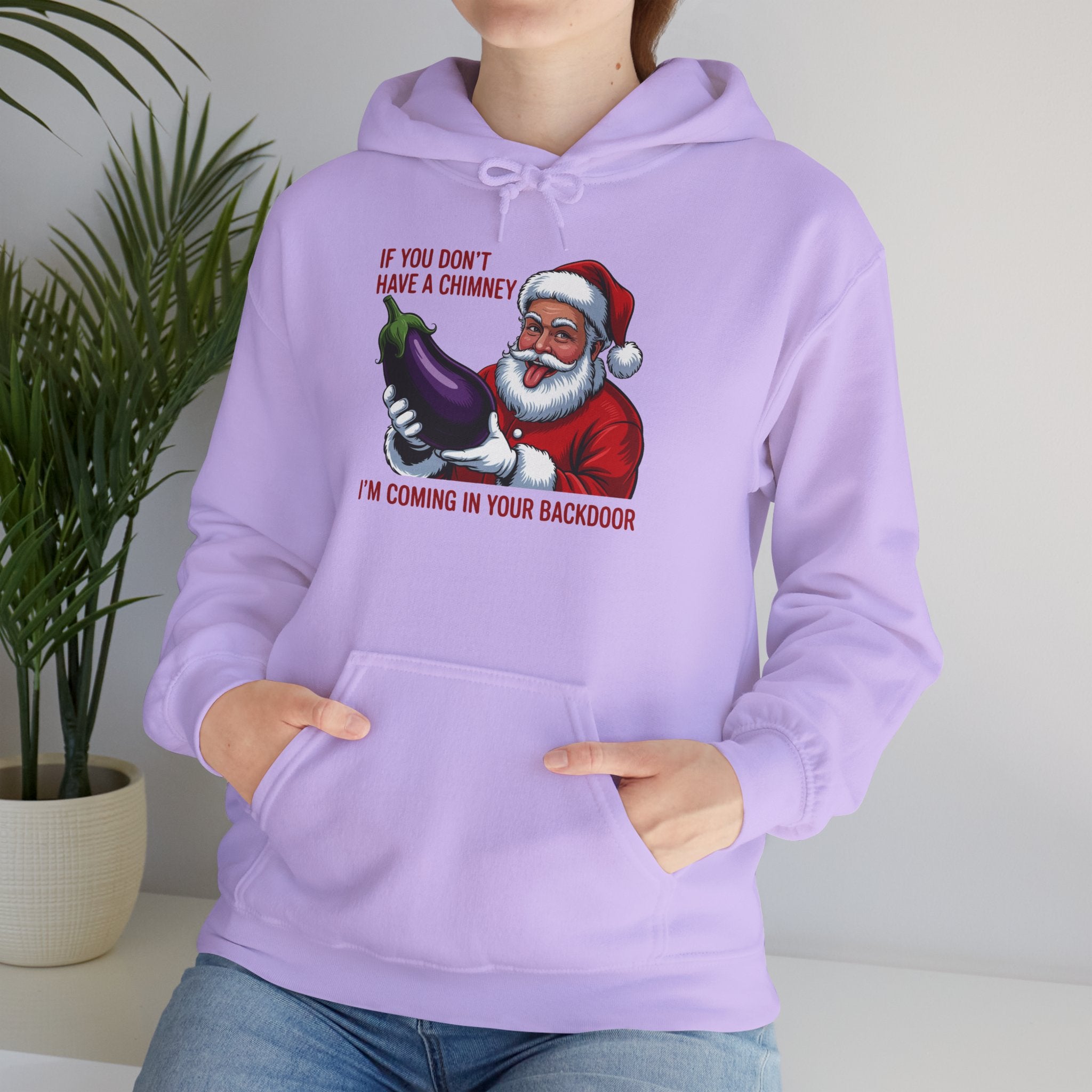If You Don’t Have a Chimney I’m Coming in Your Backdoor Hoodie