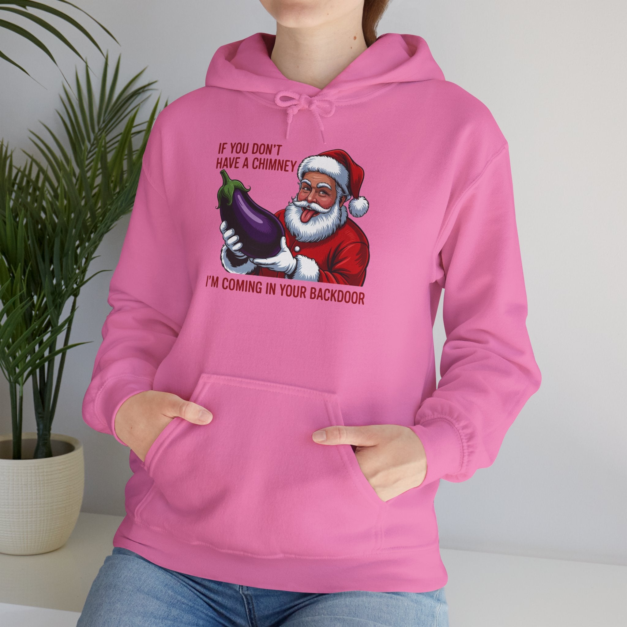 If You Don’t Have a Chimney I’m Coming in Your Backdoor Hoodie